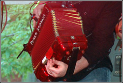 Eileen Ivers at Chicago Irish Fest - July 11, 2009.  Photo by James Fidler.