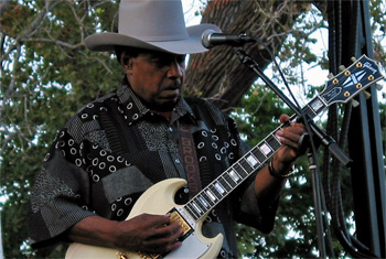 Lonnie Brooks at the Naperville Last Fling - September 4, 2009