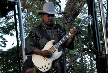 Lonnie Brooks at the Naperville Last Fling - September 4, 2009